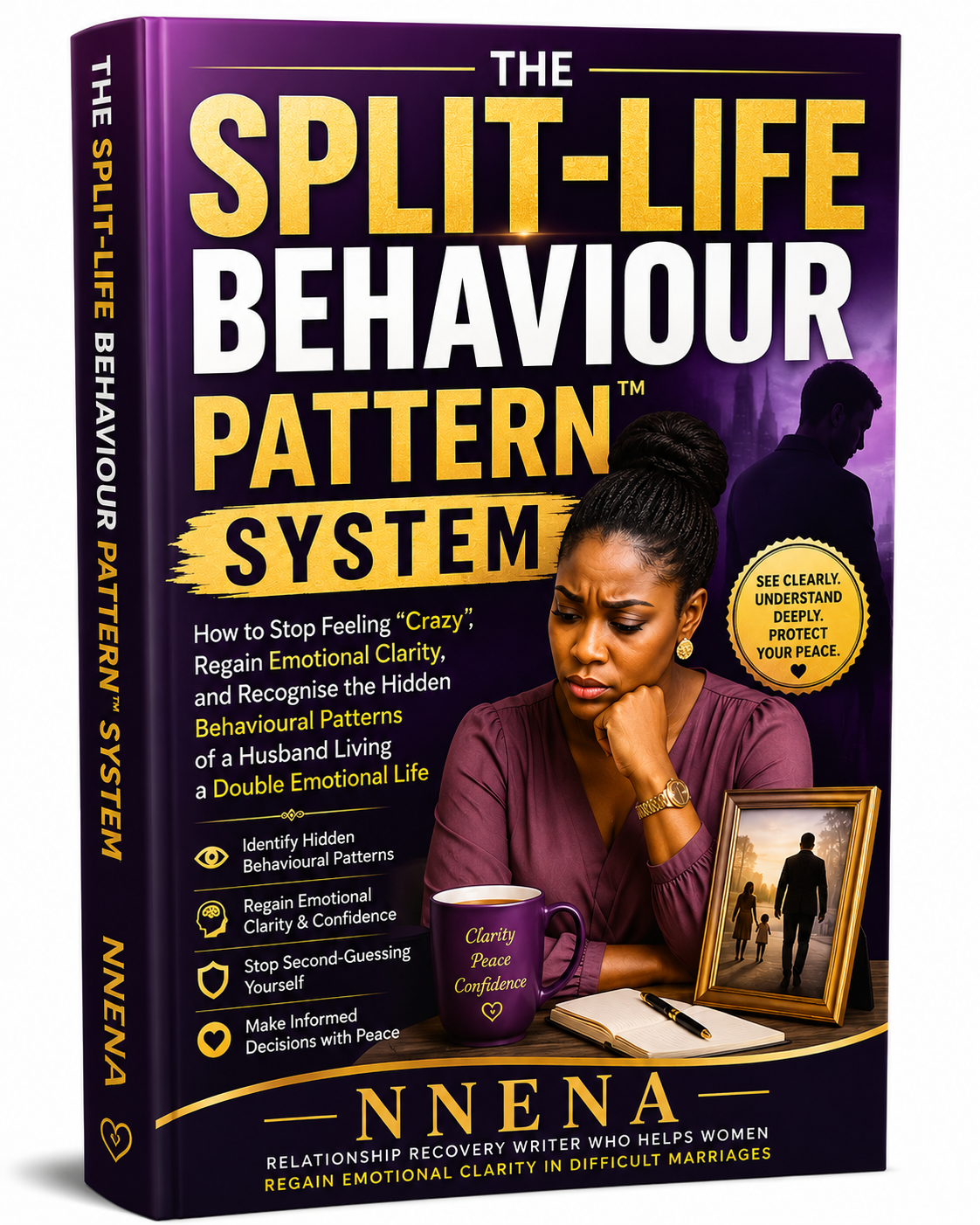 The Split-Life Behaviour Pattern System Guide Cover